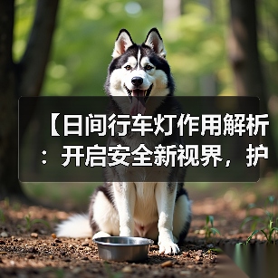 【日间行车灯作用解析:开启安全新视界,护你行车无忧】(图2) 【日间行车灯作用解析:开启安全新视界,护你行车无忧】(图2)
