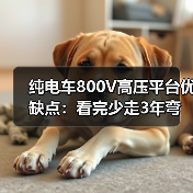 纯电车800V高压平台优缺点:看完少走3年弯路的真实拆解(图2) 纯电车800V高压平台优缺点:看完少走3年弯路的真实拆解(图2)