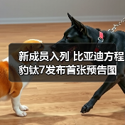 新成员入列 比亚迪方程豹钛7发布首张预告图(图3) 新成员入列 比亚迪方程豹钛7发布首张预告图(图3)