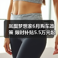岚图梦想家6月购车政策 限时补贴5.5万元起 免费(图4) 岚图梦想家6月购车政策 限时补贴5.5万元起 免费(图4)