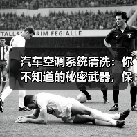 汽车空调系统清洗:你不知道的秘密武器,保护舒适每一程(图4) 汽车空调系统清洗:你不知道的秘密武器,保护舒适每一程(图4)
