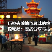 巧妙去除地毯异味的终极秘籍:实战分享与技巧详解(图2) 巧妙去除地毯异味的终极秘籍:实战分享与技巧详解(图2)