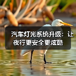 汽车灯光系统升级：让夜行更安全更炫酷（图2）