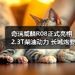 奇瑞威麟R08正式亮相 2.3T柴油动力 长城炮要小(图2) 奇瑞威麟R08正式亮相 2.3T柴油动力 长城炮要小(图2)