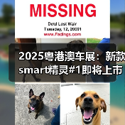 2025粤港澳车展：新款smart精灵#1即将上市 配置（图3）