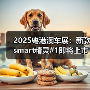2025粤港澳车展：新款smart精灵#1即将上市 配置（图2）