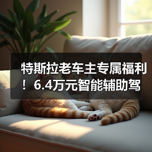特斯拉老车主专属福利！6.4万元智能辅助驾驶权（图1）