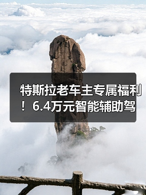 特斯拉老车主专属福利！6.4万元智能辅助驾驶权（图2）