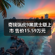 奇瑞瑞虎9黑武士版上市 售价15.59万元（图4）