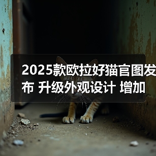 2025款欧拉好猫官图发布 升级外观设计 增加新车(图4) 2025款欧拉好猫官图发布 升级外观设计 增加新车(图4)