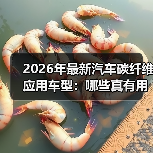 2026年最新汽车碳纤维应用车型：哪些真有用，哪些只是“面子工程”？（图3）