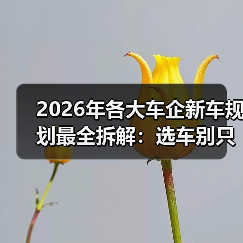 2026年各大车企新车规划最全拆解:选车别只看发布会(图2) 2026年各大车企新车规划最全拆解:选车别只看发布会(图2)