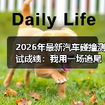 2026年最新汽车碰撞测试成绩:我用一场追尾事故换来的选车底线(图1) 2026年最新汽车碰撞测试成绩:我用一场追尾事故换来的选车底线(图1)
