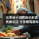 比亚迪王朝网推出多项优惠活动 全系智驾版车型（图2）