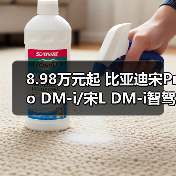 8.98万元起 比亚迪宋Pro DM-i/宋L DM-i智驾版推（图4）
