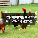 适合跑山路的运动型轿车:2026年这样选,弯道更稳更爽(图4) 适合跑山路的运动型轿车:2026年这样选,弯道更稳更爽(图4)