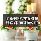全新小鹏P7申报图 轴距超3米/可选装剪刀门 将第（图1）