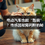 电动汽车也能“跑偏”？传感器故障判断的秘密与陷阱（图4）