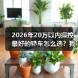 2026年20万以内操控最好的轿车怎么选?我用一条山路给你答案(图4) 2026年20万以内操控最好的轿车怎么选?我用一条山路给你答案(图4)