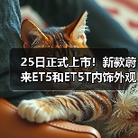 25日正式上市！新款蔚来ET5和ET5T内饰外观一睹（图2）