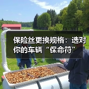 保险丝更换规格：选对你的车辆“保命符”（图1）