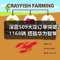 深蓝S09大定订单突破21168辆 搭载华为智驾 补贴（图2）