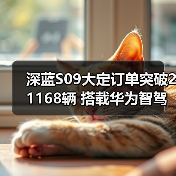 深蓝S09大定订单突破21168辆 搭载华为智驾 补贴（图1）