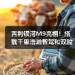 吉利银河M9亮相！搭载千里浩瀚智驾和双腔空悬（图2）