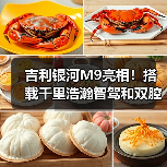 吉利银河M9亮相！搭载千里浩瀚智驾和双腔空悬（图4）
