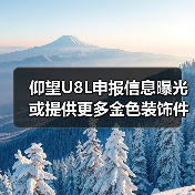 仰望U8L申报信息曝光 或提供更多金色装饰件（图1）