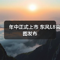 年中正式上市 东风L8官图发布（图2）