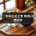 年中正式上市 东风L8官图发布（图4）