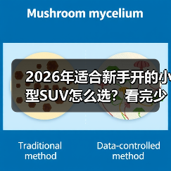 2026年适合新手开的小型SUV怎么选?看完少走3年弯路(图1) 2026年适合新手开的小型SUV怎么选?看完少走3年弯路(图1)
