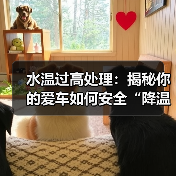 水温过高处理:揭秘你的爱车如何安全“降温”(图2) 水温过高处理:揭秘你的爱车如何安全“降温”(图2)