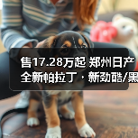 售17.28万起 郑州日产全新帕拉丁・新劲酷/黑武士（图3）