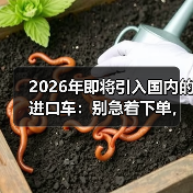 2026年即将引入国内的进口车:别急着下单,这6个信号更关键(图4) 2026年即将引入国内的进口车:别急着下单,这6个信号更关键(图4)