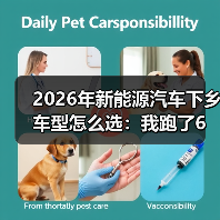 2026年新能源汽车下乡车型怎么选：我跑了6个县，挑出最值的那一类（图4）