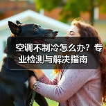 空调不制冷怎么办?专业检测与解决指南(图3) 空调不制冷怎么办?专业检测与解决指南(图3)