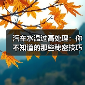 汽车水温过高处理:你不知道的那些秘密技巧(图4) 汽车水温过高处理:你不知道的那些秘密技巧(图4)