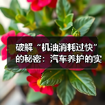 破解“机油消耗过快”的秘密：汽车养护的实战指南（图1）