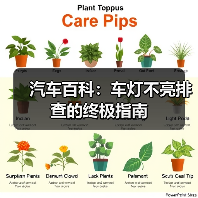 汽车百科：车灯不亮排查的终极指南（图4）