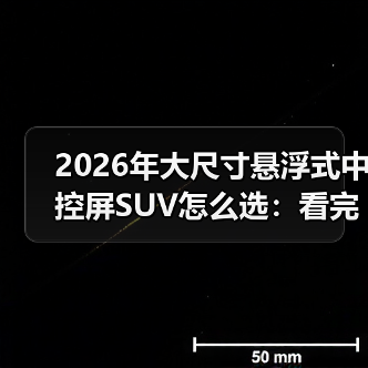 2026年大尺寸悬浮式中控屏SUV怎么选：看完少走3年弯路（图4）
