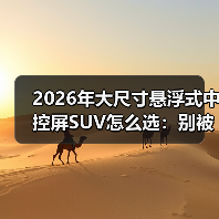 2026年大尺寸悬浮式中控屏SUV怎么选：别被“大屏”骗了（图3）
