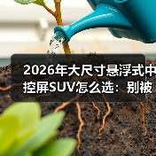 2026年大尺寸悬浮式中控屏SUV怎么选：别被“大屏”骗了（图2）