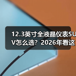 12.3英寸全液晶仪表SUV怎么选？2026年看这6个细节少踩坑（图3）