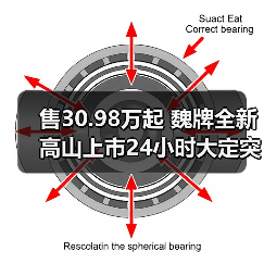 售30.98万起 魏牌全新高山上市24小时大定突破59(图2) 售30.98万起 魏牌全新高山上市24小时大定突破59(图2)