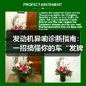 发动机异响诊断指南：一招搞懂你的车“发脾气”原因（图1）