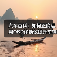 汽车百科：如何正确运用OBD诊断仪提升车辆维护效率（图3）