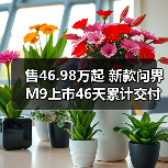 售46.98万起 新款问界M9上市46天累计交付量突破(图4) 售46.98万起 新款问界M9上市46天累计交付量突破(图4)