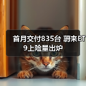 首月交付835台 蔚来ET9上险量出炉（图2）